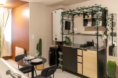Cuisine ou kitchenette dans l'établissement Murmures Cactus, Spa & Sauna à Blois