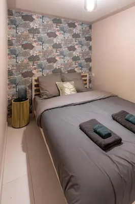 Un ou plusieurs lits dans un hébergement de l'établissement Murmures Cactus, Spa & Sauna à Blois