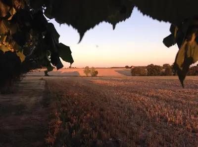 Paysage naturel près de la maison de vacances