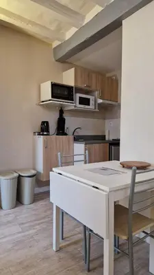 Cuisine ou kitchenette dans l'établissement Le petit quai # Studio # site historique
