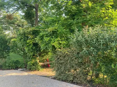 Jardin de l'établissement Gitesdelachapelle 4km Zoo