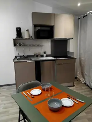 Cuisine ou kitchenette dans l'établissement Petite maison en cœur de ville