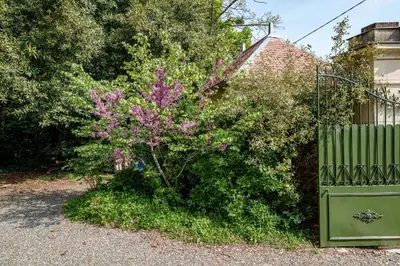 Jardin de l'établissement Maison 10 personnes 4 ch Bourgueil vignobles