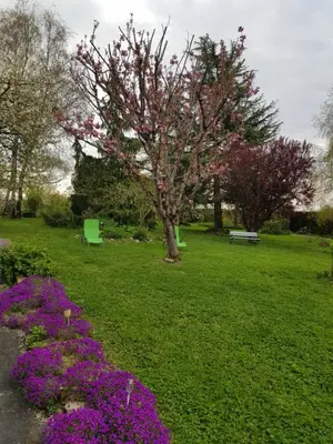 Jardin de l'établissement Chambres D'hôtes Anne-Marie