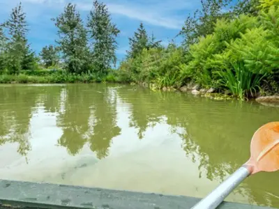 Vue sur la rivière ou le fleuve situé(e) à proximité de le camping