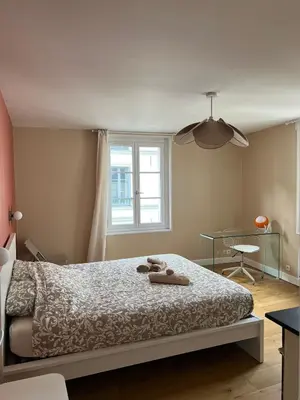 Un ou plusieurs lits dans un hébergement de l'établissement Charmant T2 - Centre ville Tours