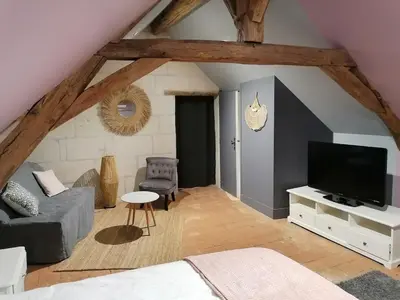Télévision ou salle de divertissement dans l'établissement La Petite Mésange