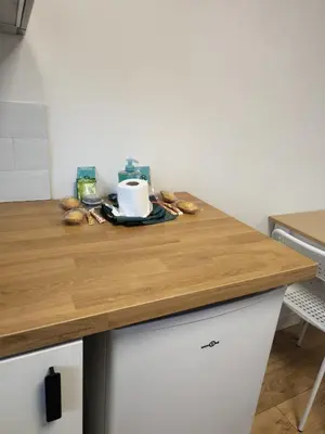 Cuisine ou kitchenette dans l'établissement 2 room apartment with complete peace of mind for 4 people