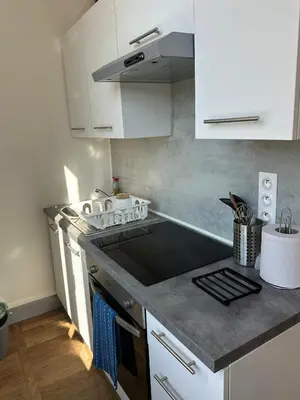 Cuisine ou kitchenette dans l'établissement Studio avec vue sur le Château