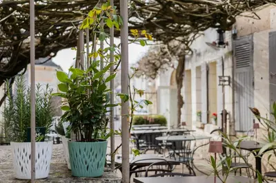 Restaurant ou autre lieu de restauration dans l'établissement Le clos aux roses