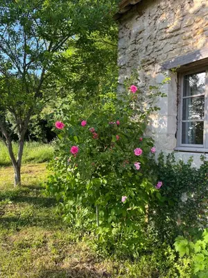 Jardin de l'établissement La Papinière