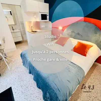 Studio central face Loire et Château le 4-3