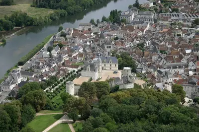Vue panoramique sur l'établissement Aux grilles du Château de Saint-Aignan, à 2km de Beauval, les maisons de Sidonie et Léonard