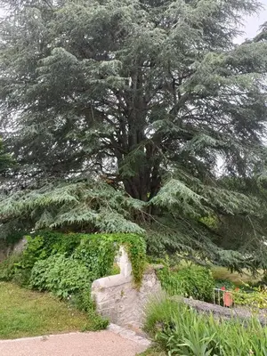 Jardin de l'établissement Bella Simonetta