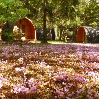La Rossignolerie - POD Cabanes des châteaux