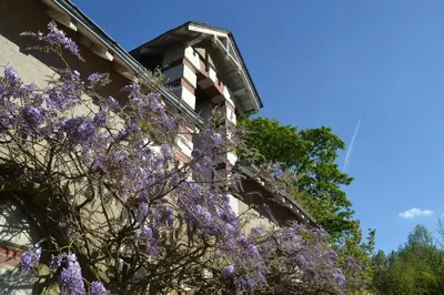 Jardin de l'établissement Le Clos Sainte-Marie