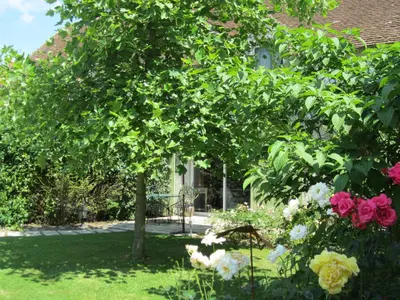 Jardin de l'établissement La Petite Richerie