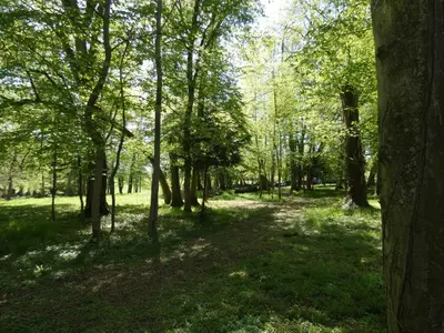 Paysage naturel près de l'hôtel