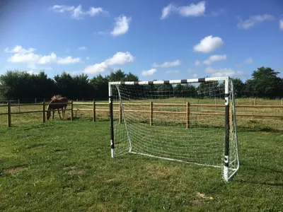 Animaux dans la maison de vacances ou à proximité