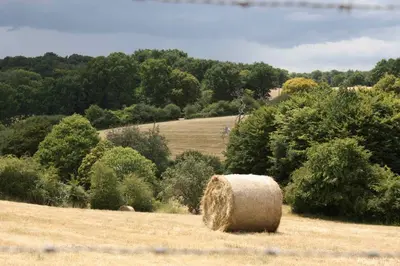 Paysage naturel près de la maison de vacances