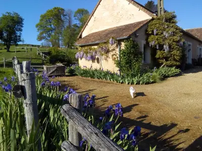 Jardin de l'établissement Gîte Bois Gaillard
