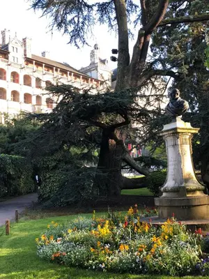 Jardin de l'établissement Logis Hôtel Louise de Savoie