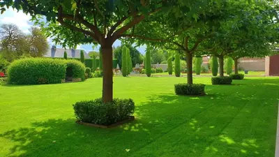Jardin de l'établissement Les Loges de Saint Eloi
