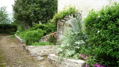 Jardin de l'établissement Songbird Sanctuary