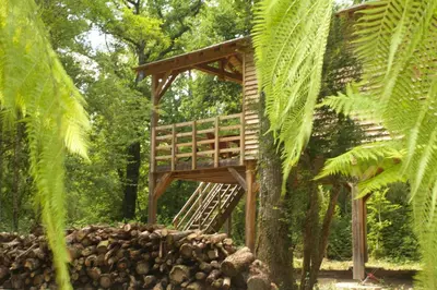 Jardin de l'établissement Ecolodges de Loire & Spa