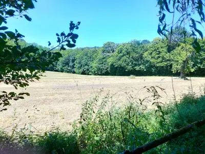 Paysage naturel près de la maison de vacances