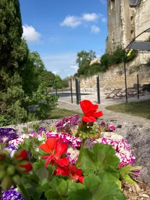 Jardin de l'établissement Logis Auberge de Crissay