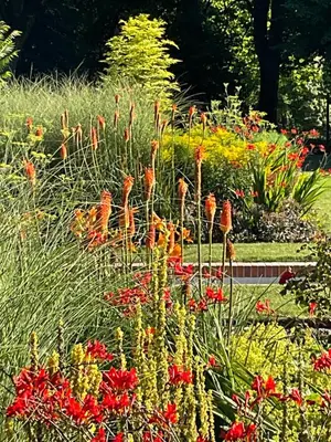 Jardin de l'établissement Château de Beauvais