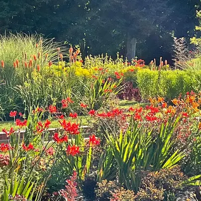 Jardin de l'établissement Château de Beauvais