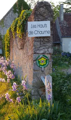 Jardin de l'établissement Les Hauts de Chaume