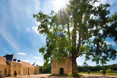 Plan de l'établissement Hôtel du Domaine de La Groirie - Le Mans