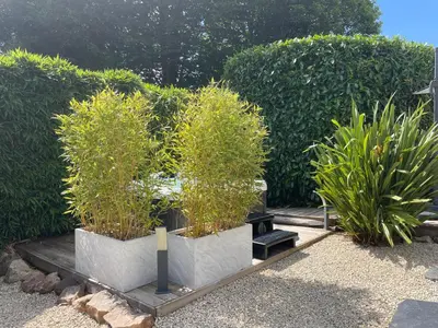 Jardin de l'établissement Suite 