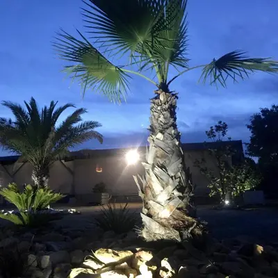 Jardin de l'établissement Suite 