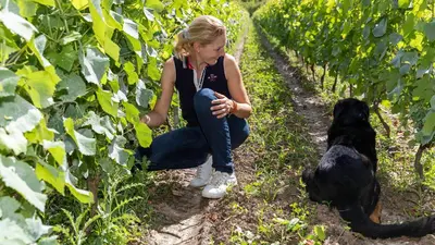 Animal ou animaux domestique(s) séjournant avec des clients dans l'établissement Manoir, vignes et chevaux au cœur des châteaux