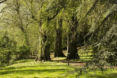 Paysage naturel près de l'hôtel