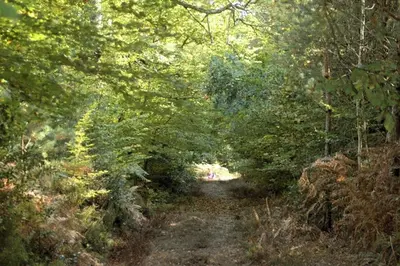 Paysage naturel près de la maison de vacances