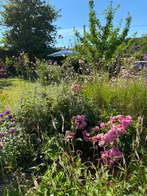 Jardin de l'établissement la Chambre des Dames