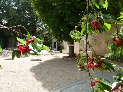 Jardin de l'établissement Teritoria Le Grand Monarque