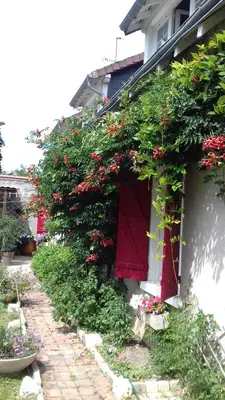 Jardin de l'établissement Ideal pour une pause