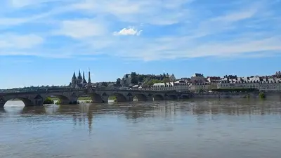Vue sur la rivière ou le fleuve situé(e) à proximité de l'appartement