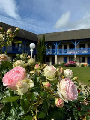 Jardin de l'établissement Cit'Hotel Capricorne
