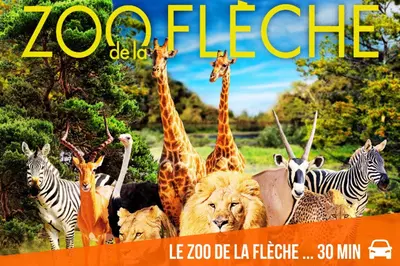 Animaux dans l'appartement ou à proximité