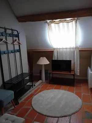 Télévision ou salle de divertissement dans l'établissement Ode au Bonheur St Georges sur Cher