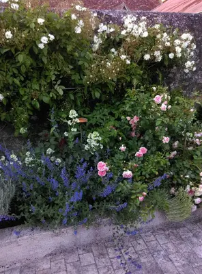 Jardin de l'établissement Ode au Bonheur St Georges sur Cher
