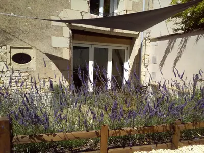 Jardin de l'établissement La Maison Tumtum Arbre