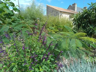 Jardin de l'établissement La Maison Tumtum Arbre